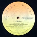 Antonio Ocasio feat. Jessica Valiente - A Celebration of Life