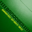 Downunder Disco - Do The Disco (Original Mix)
