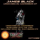 James Black Presents - Screaming Into The Void (Rave Syndicate Remix)