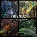 Metta & Entangled Mind - Friendz (Original Mix)