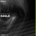 Roland Broemmel - Eagle 303 (Original Mix)