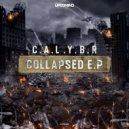 Calybr - The Shooter