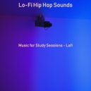 Lo-Fi Hip Hop Sounds - Soundscapes for Work from Home ()