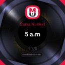 Slava Kunkel - 5 a.m ()