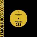 Boran Ece - Rationabile (Original Mix)