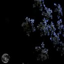 Bode V - Live Coal