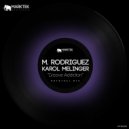 M. Rodriguez, Karol Melinger - Groove Addiction