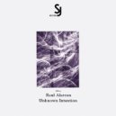 Raul Alarcon - Unknown Intention (Original Mix)