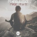M Knowledge - R or N (Original Mix)