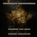 Roger Williams - Holding You Back (Original Mix)