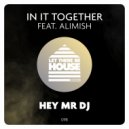 In It Together, Alimish - Hey Mr DJ