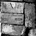 BCDJ - Patterns (Reisin Remix)