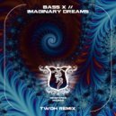 Bass X - Imaginary Dreams