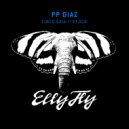 PP DIAZ - Cinco Gaia (Original Mix)