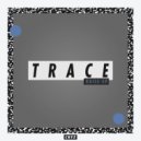 Survey, Trace - Detroit (Original Mix)