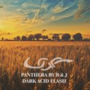 Panthera By B & J - Hard Acid Melodie