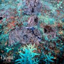 AN:TI - Random ringer (Original Mix)