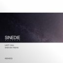 Shayan Pasha - Last Call (Original Mix)