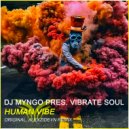 DJ Myngo Pres. Vibrate Soul - Human Vibe (AlexZideyn Remix)