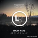LS2, Romany - One Of A Kind