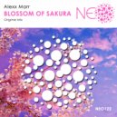 Alexx Marr - Blossom Of Sakura