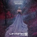 David Surok - Orchidea