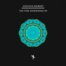 Gustavo Reinert - Experience