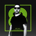 Guau - Flash Lights