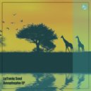 LuToniq Soul - Amaphupho