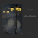 Electronic Fluke - Streetlights