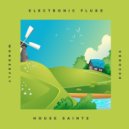 Electronic Fluke - House Saints
