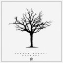 Shahab Abbasi - Derakht (Original Mix)