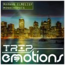 Marwan ElMeligy & Shata - Endelss Moment (Original Mix)