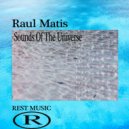 Raul Matis - Graviy