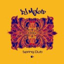 Mixoid - Spring Dub (Original Mix)