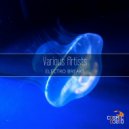 Voiz 3000 - Intergalactic Craft