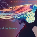 Zloy Troll - Рашэн Колбашэн (Music of the Senses)