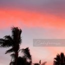 Back Is Beautifull - Magic Solution (Original Mix)