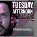 Cosmin Simionica - Tuesday Afternoon (Original Mix)