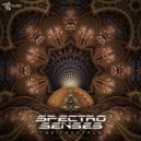 Spectro Senses - The Fractals