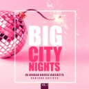 Niko De Luka feat. The 80\'s Ghetto Collective - Shake (Brown Sugar Remix)