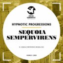 Hypnotic Progressions - Sequoia Sempervirens (Original Mix)