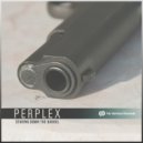 Perplex (DNB) - The Beast Of Space (Original Mix)