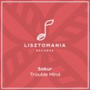 Sokur - Space Synthetizer (Original Mix)