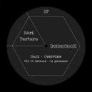 Hari - Overview (Original Mix)