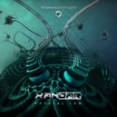 Xandar - Natural Law (Original Mix)