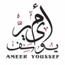 Ameer Youssef - Asef 3la Elez3ag (Original Mix)