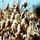 Joshua Elias - Dockside (Original Mix)