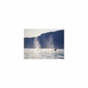 Mindfulness Healing BGM Project - Cave and Acoustic