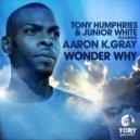 Tony Humphries, Junior White feat. Aaron K. Gray - Wonder Why (Vocal Mix)